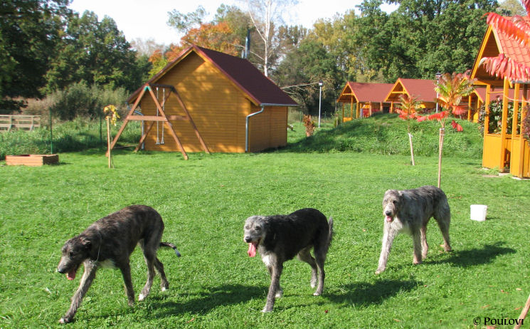 From the left: F. EYWA, mum DAUGHTER and EDRINIOS COLL